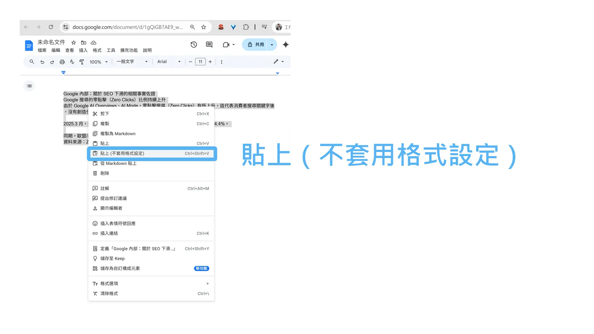 Google Doc 1 1