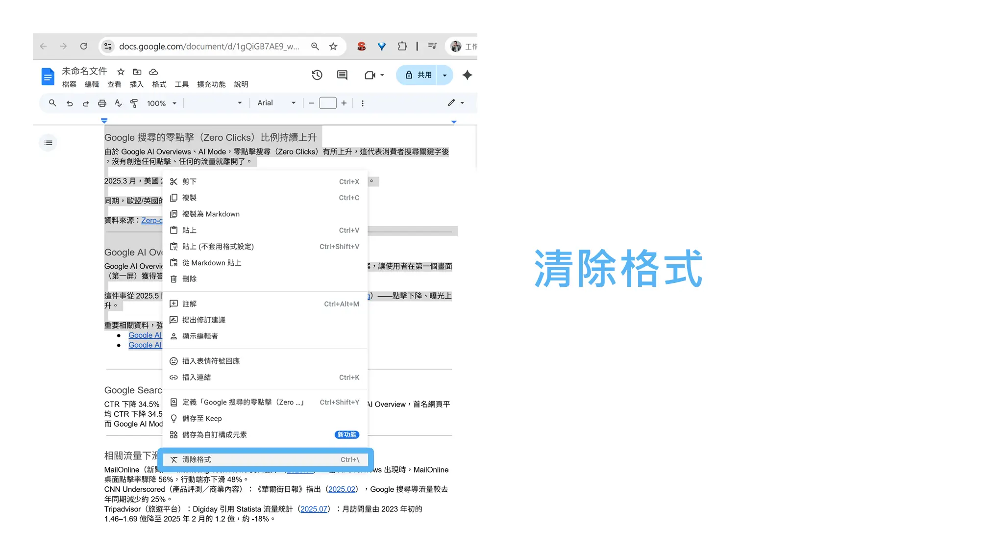 Google Doc 1 2