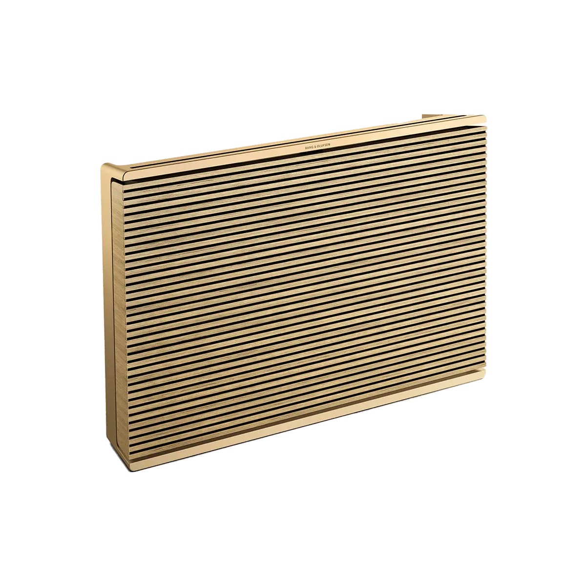 Bang & Olufsen Beosound Level 可移動家用喇叭